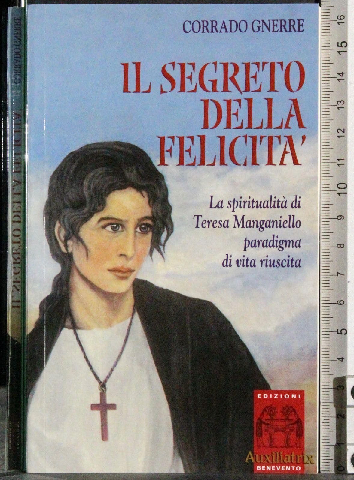 Il segreto della felicità. La spiritualità di Teresa Manganiello. Paradigma di vita riuscita book
