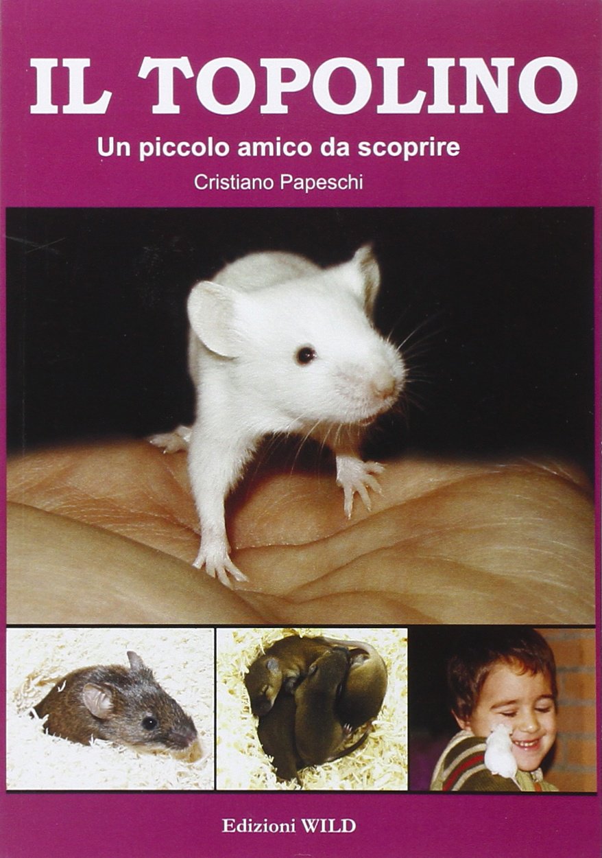 Il topolino. Un piccolo amico da scoprire book
