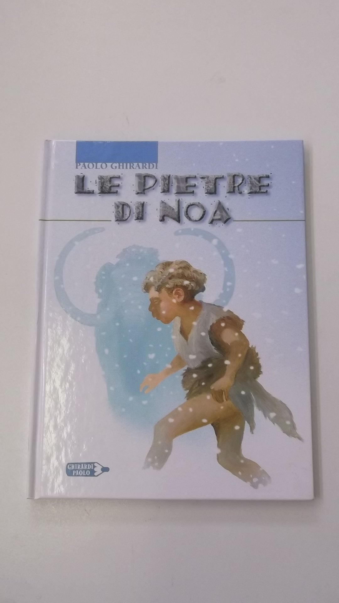 Le pietre di Noa. Ediz. illustrata book
