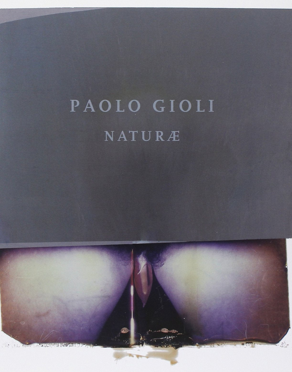 Paolo Gioli. Naturae. Ediz. italiana e inglese Photography