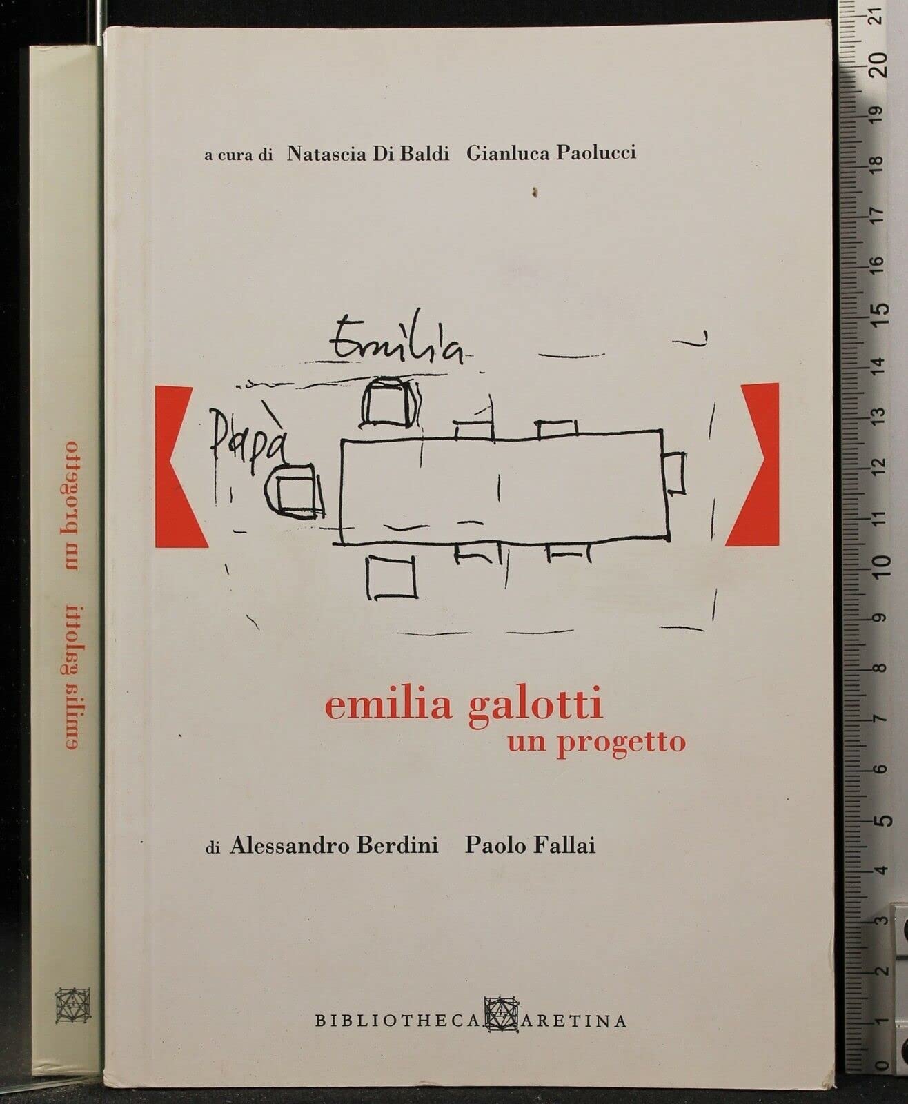 Emilia Galotti. Un progetto. Con DVD (Scenari) Contemporary literature