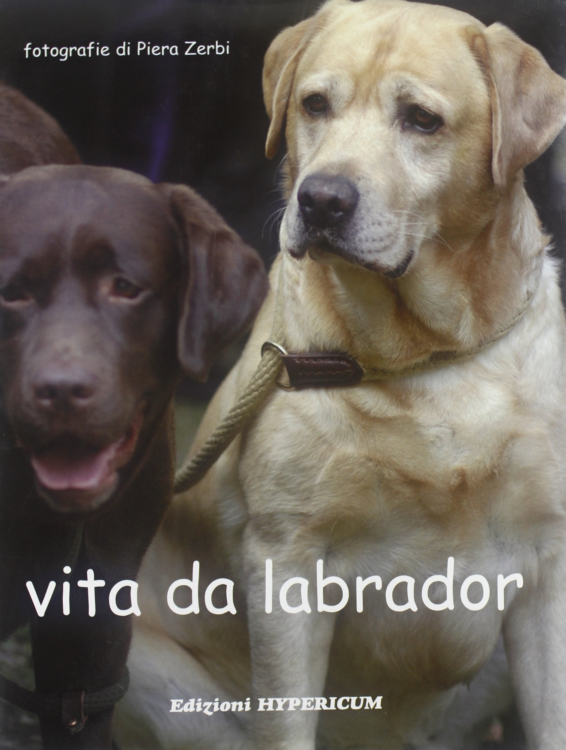 Vita da labrador. Ediz. italiana e inglese book