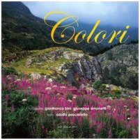 Colori. Ediz. italiana, inglese e francese book