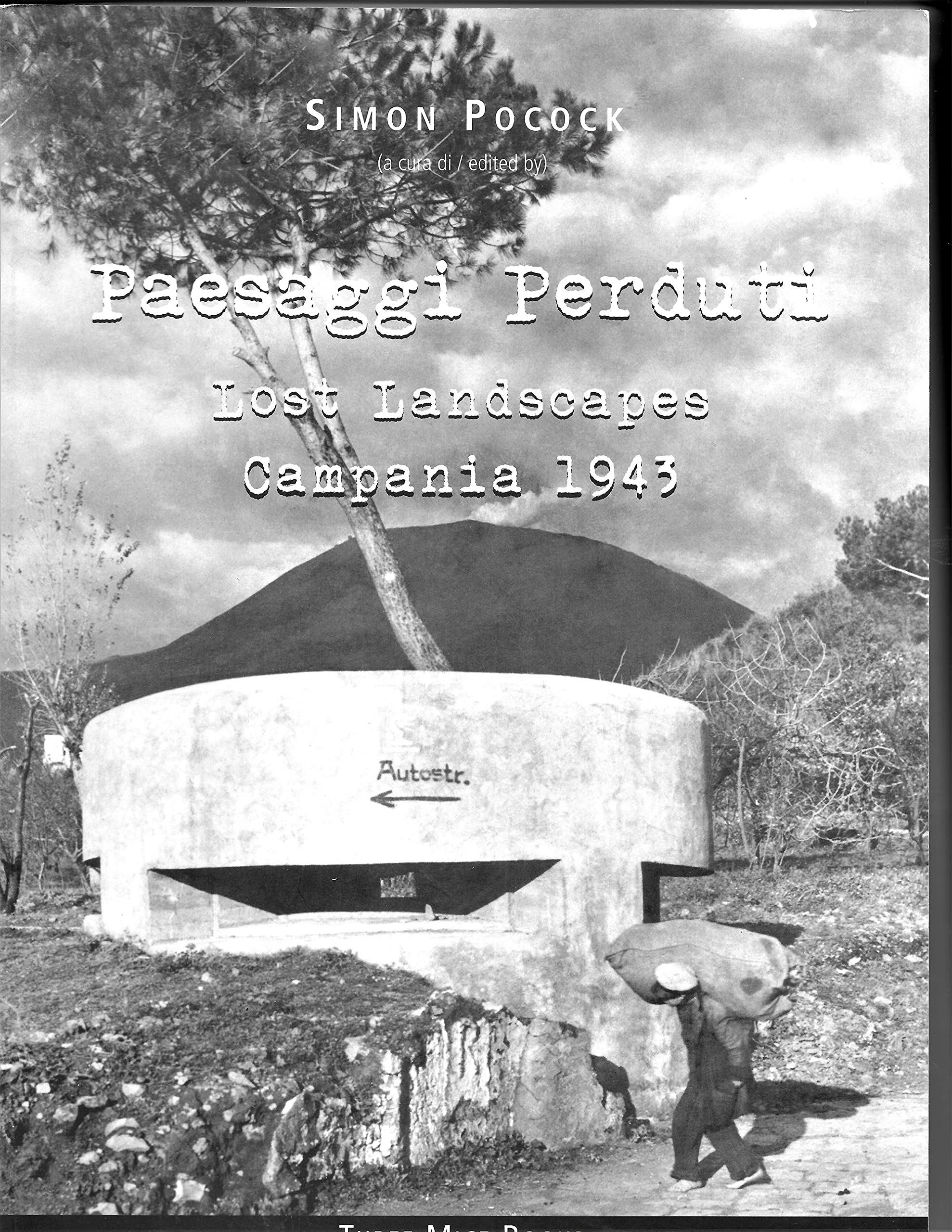 Paesaggi perduti-Lost landscapes. Campania 1943. Ediz. bilingue Politics & History
