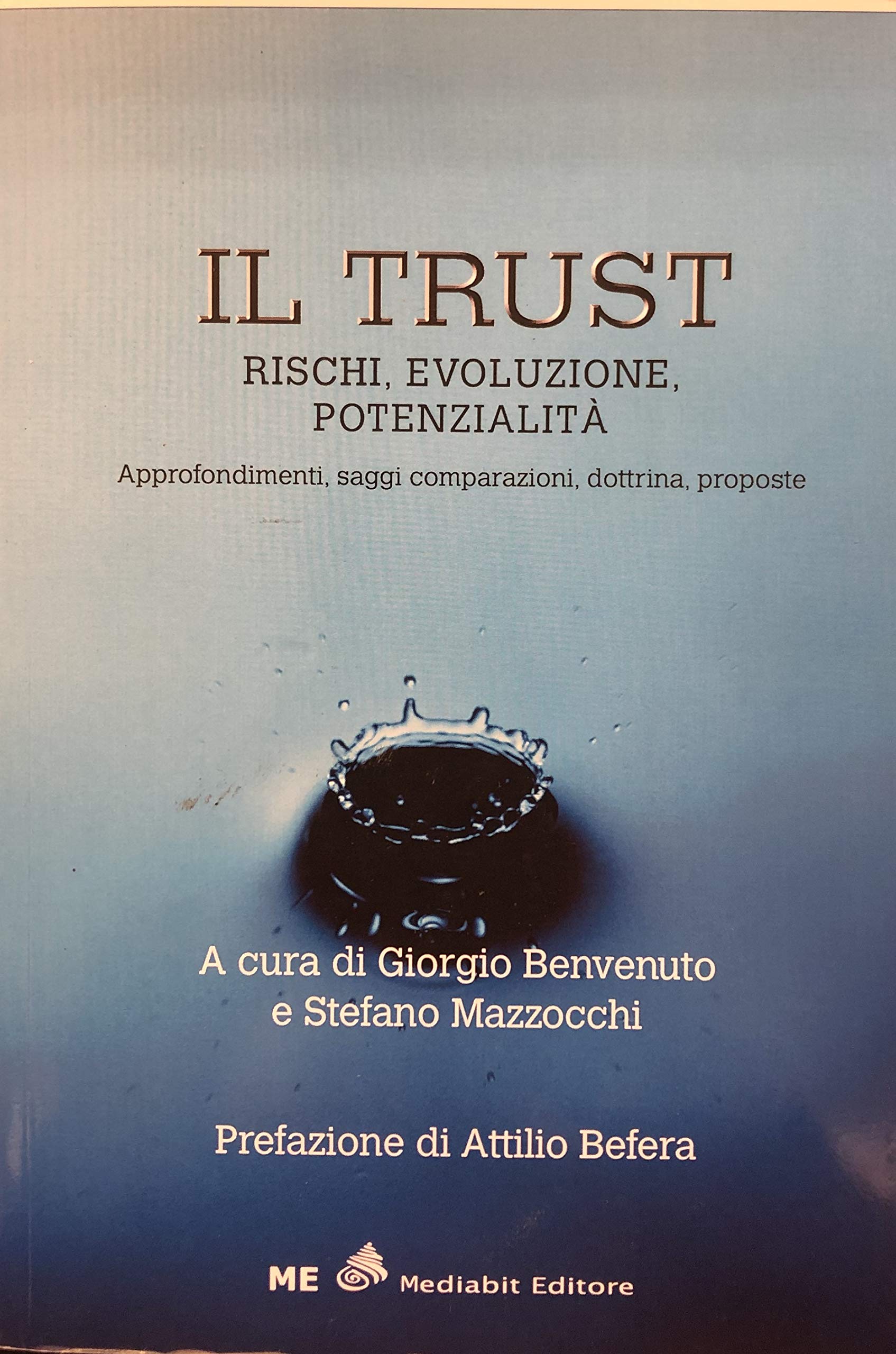 Trust. Rischi, evoluzione, potenzialità. Approfondimenti, saggi, comparazioni, dottrina, proposte Law