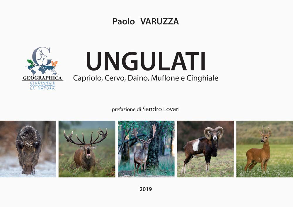 Ungulati. Capriolo, cervo, daino, muflone e cinghiale book