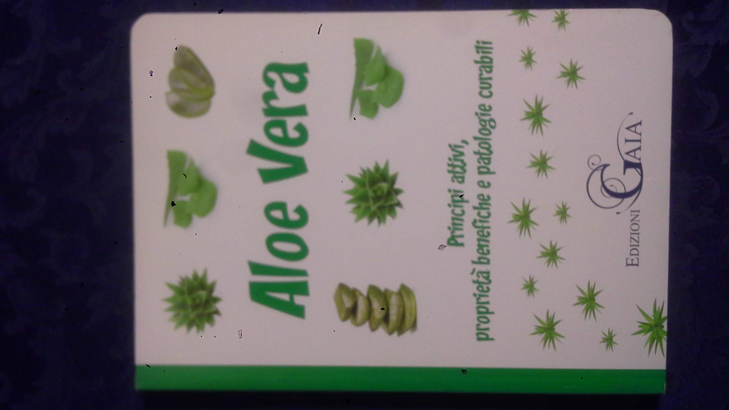Aloe vera. Principi attivi, proprietà benefiche e patologie curabili Religion & Esotericism