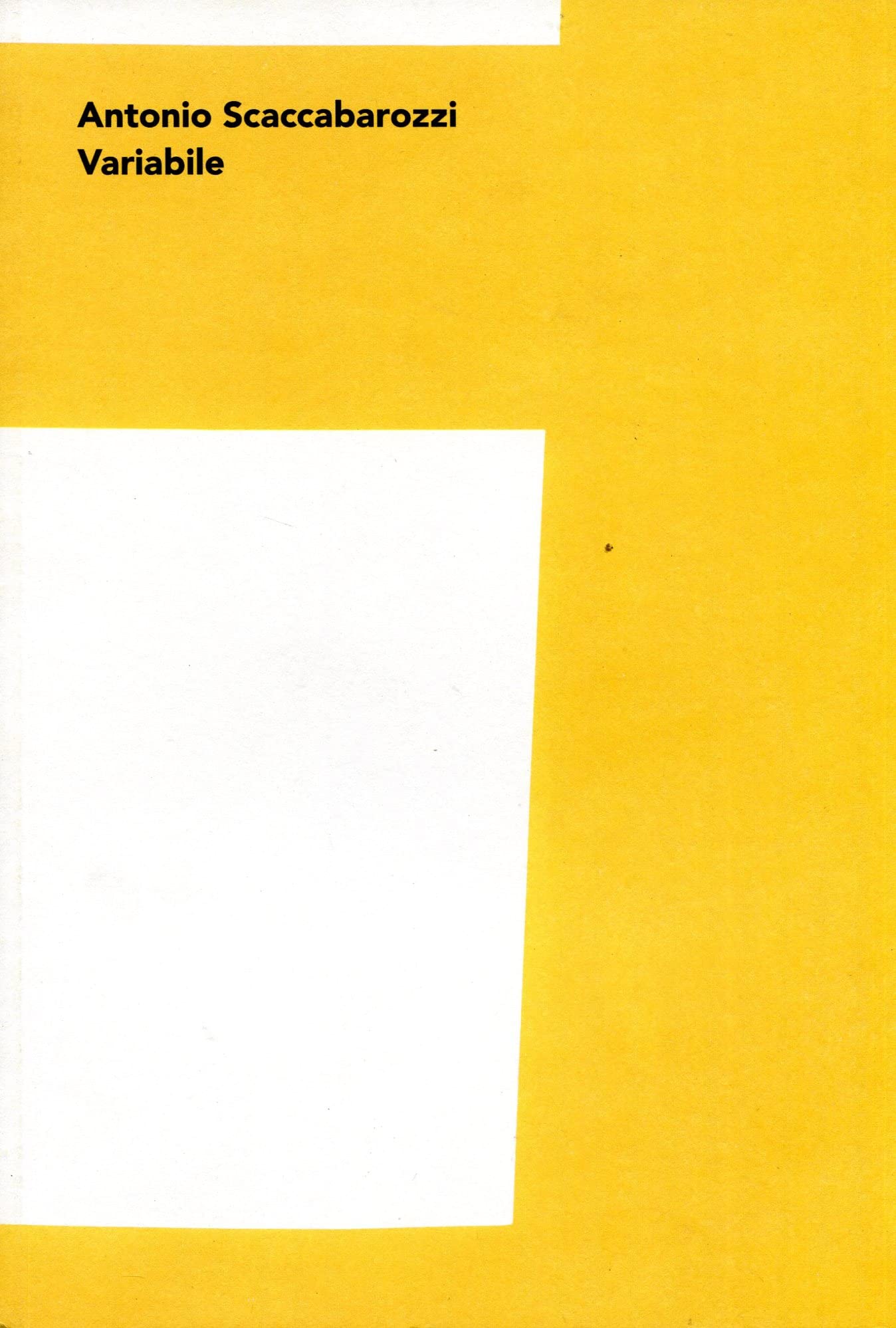 Antonio Scaccabarozzi. Variabile. Antologica presso Fondazione Antonio Calderara. Ediz. illustrata book
