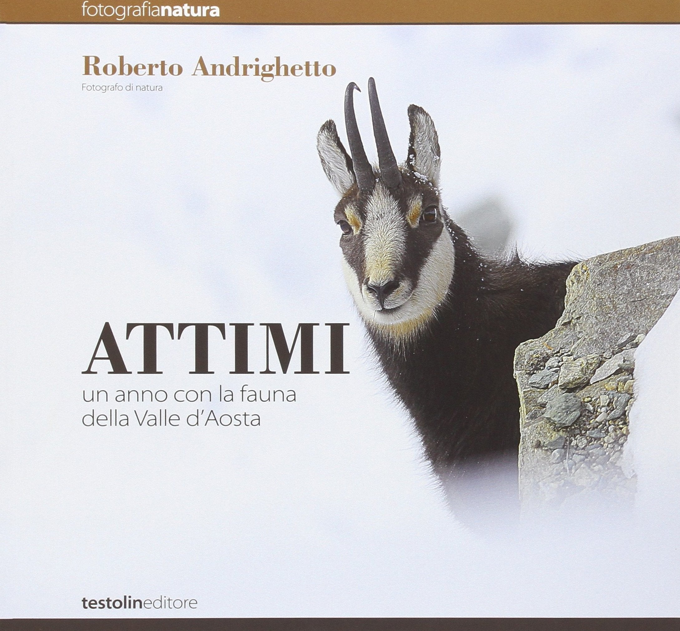 Attimi. Un anno con la fauna della valle d'Aosta. Ediz. illustrata book