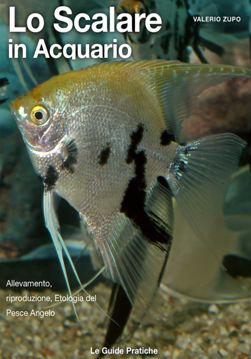 Lo scalare in acquario: Allevamento, Riproduzione, Etologia del Pesce Angelo book