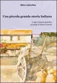 Una piccola grande storia italiana. L'Agro Romano Pontino ai tempi di Maria Goretti book