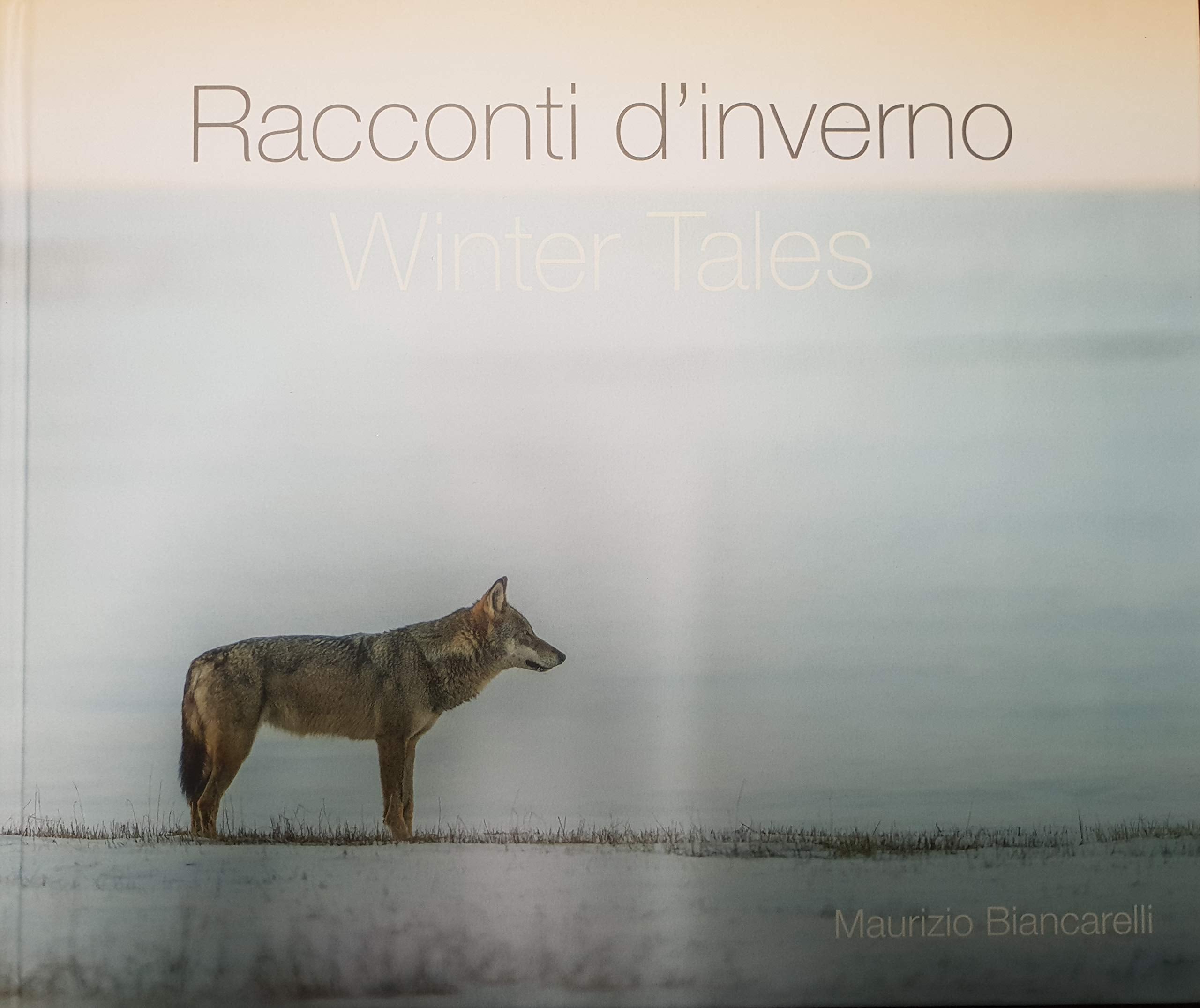 Racconti d'inverno. Ediz. italiana e inglese (Fotografia) Travel