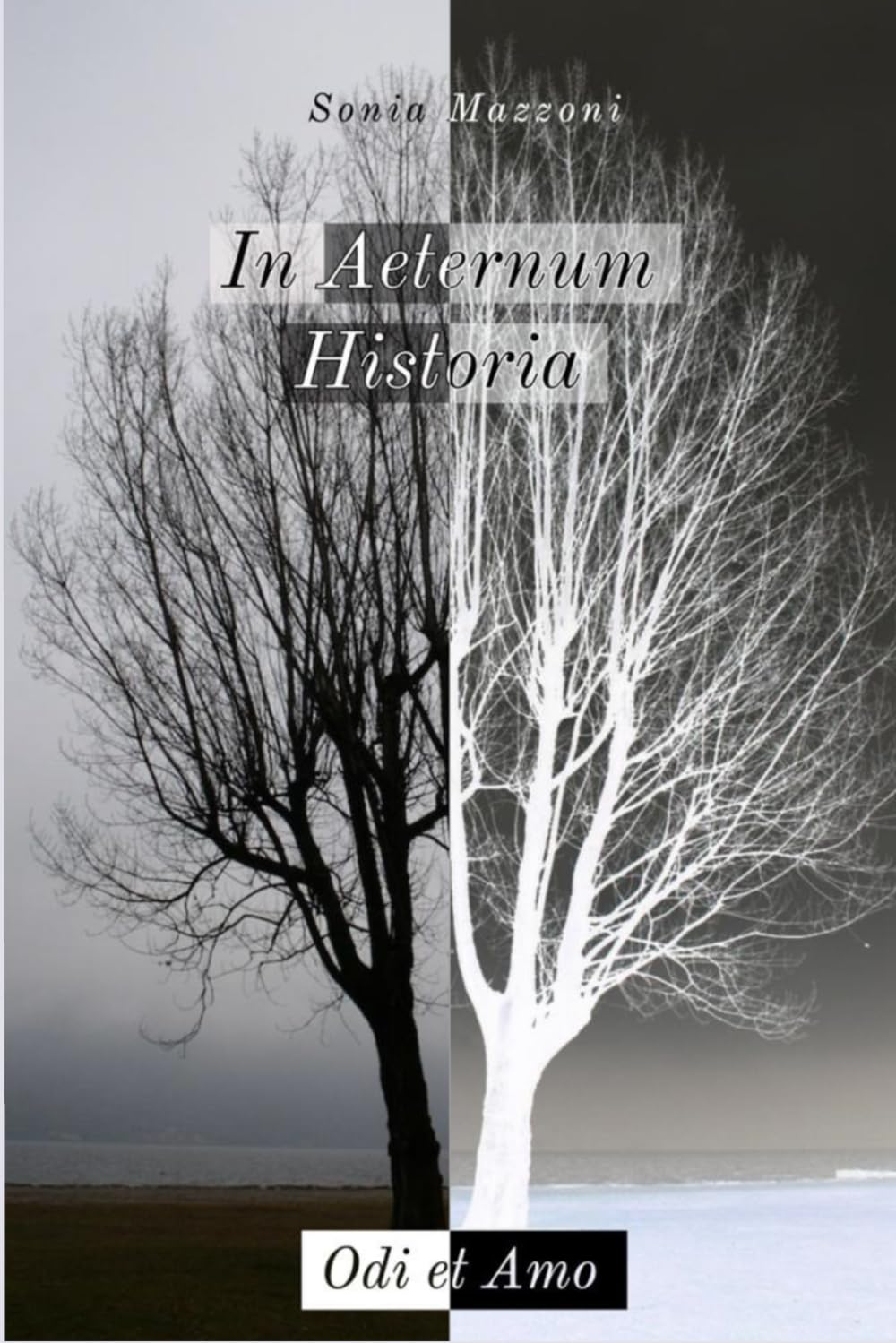 In Aternum Historia Odi et Amo book
