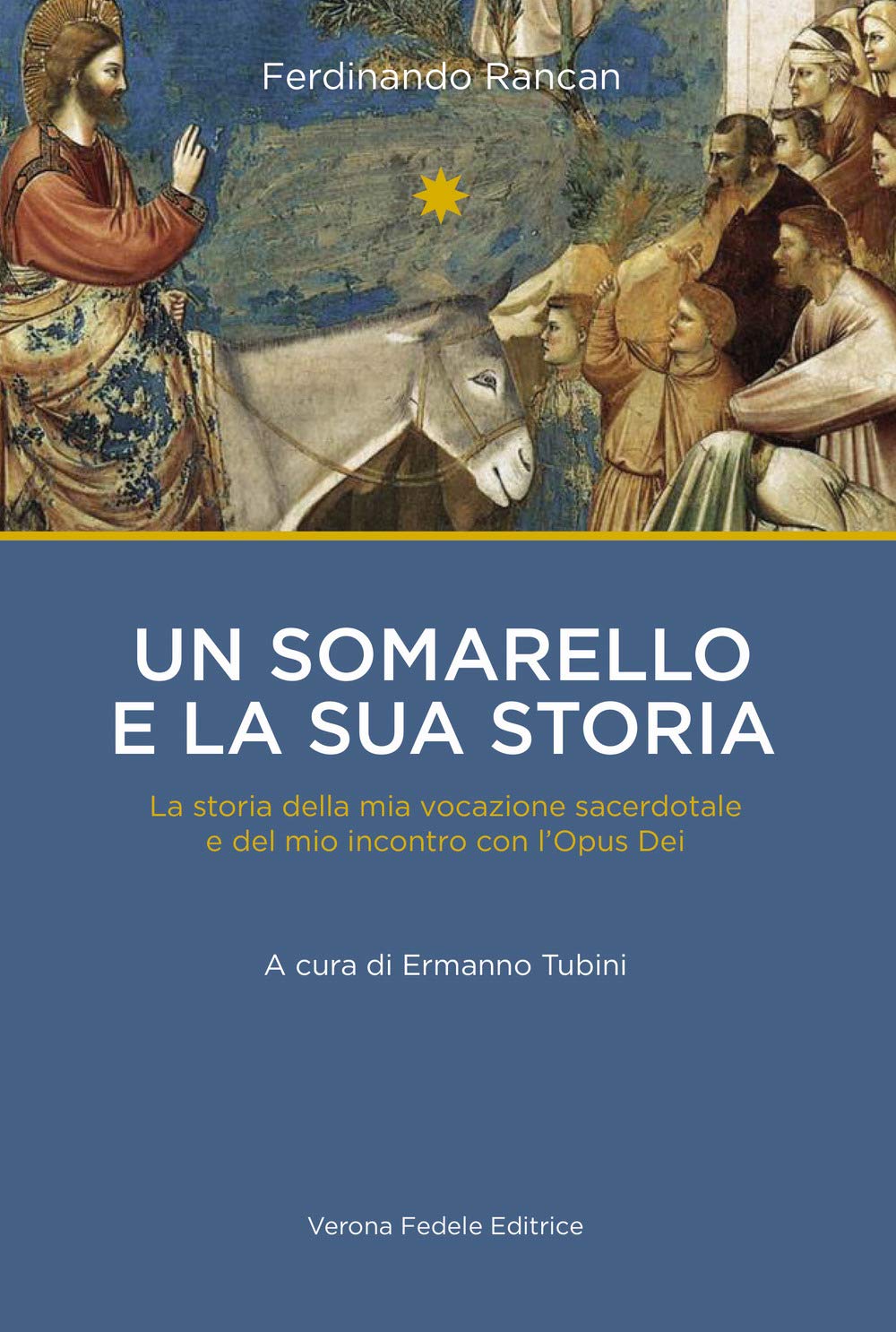 Un somarello e la sua storia. La storia della mia vocazione sacerdotale e del mio incontro con l'Opus Dei book