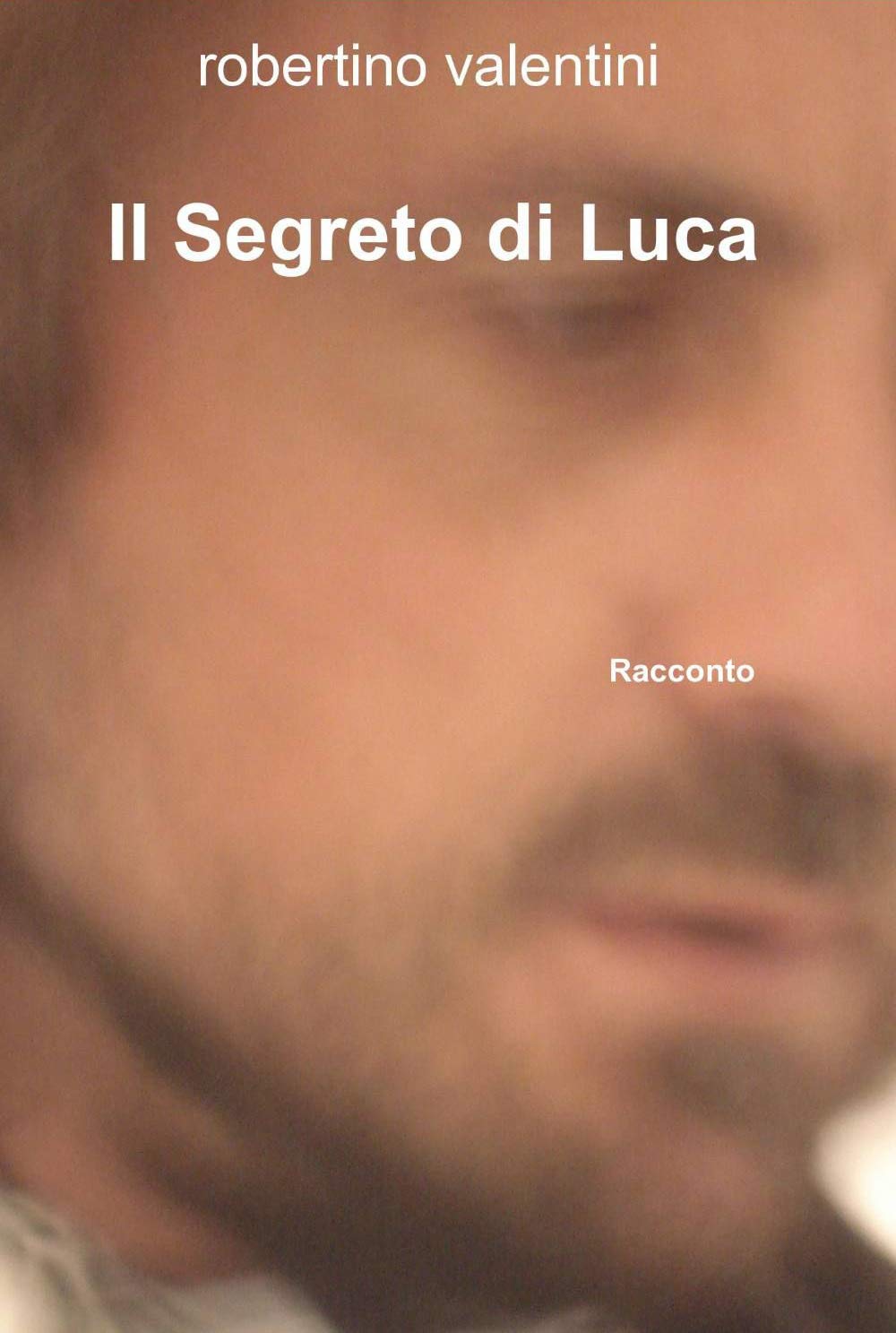 Il segreto di Luca (La community di ilmiolibro.it) Contemporary literature