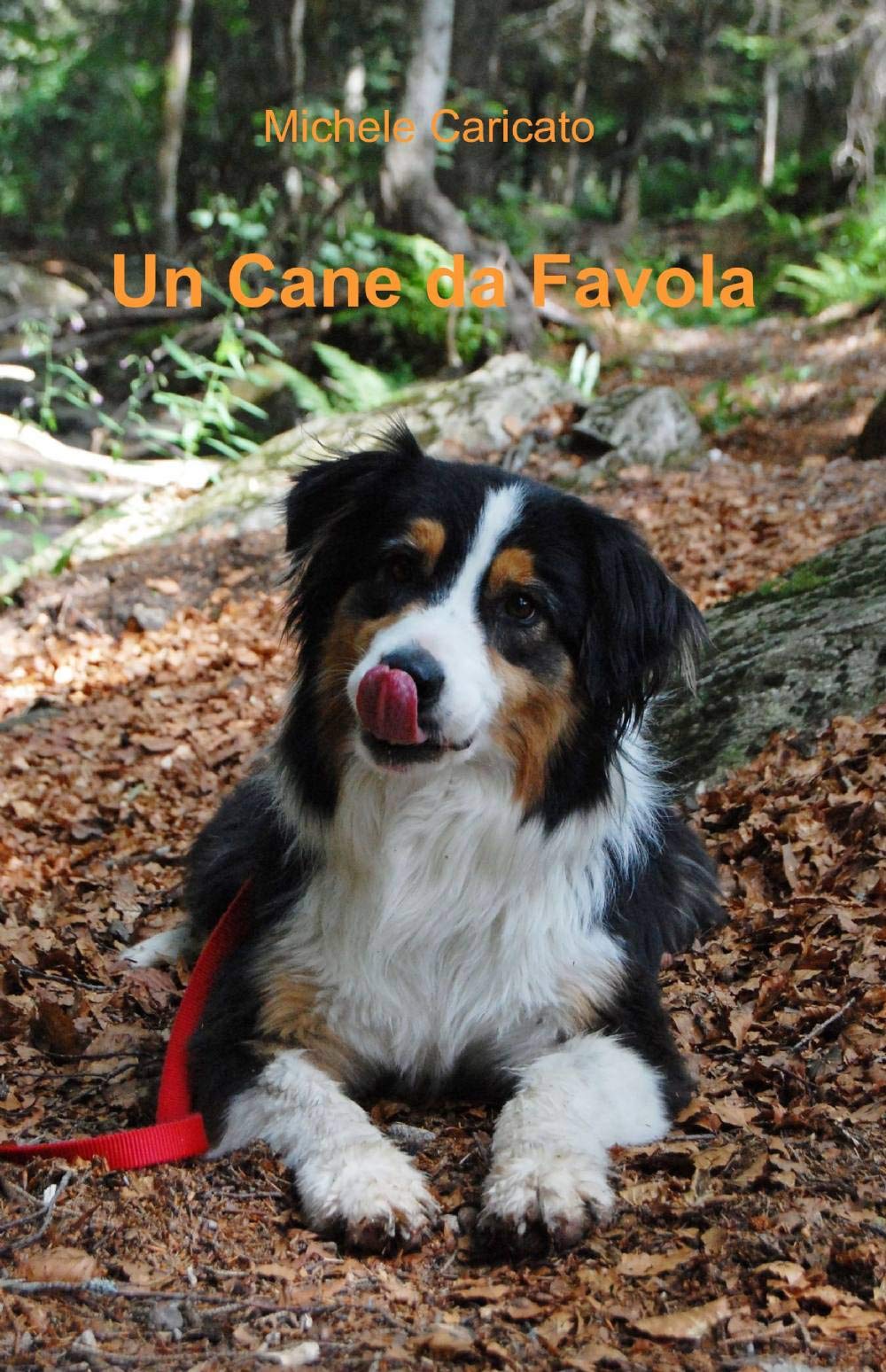 Un cane da favola (La community di ilmiolibro.it) Pets