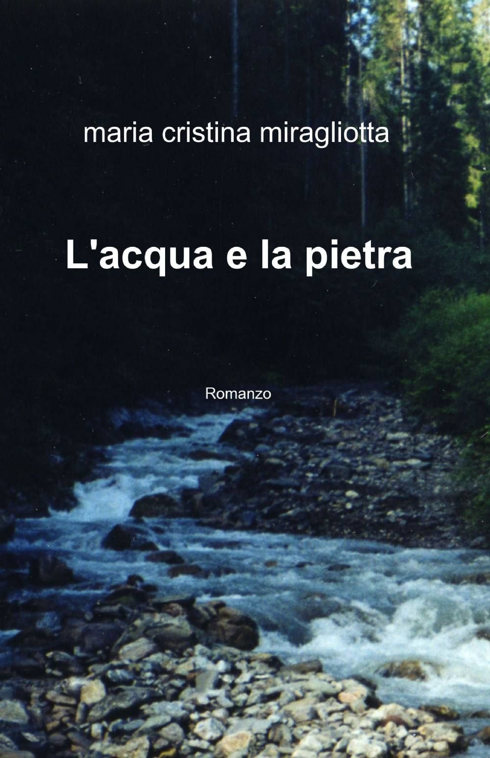L'acqua e la pietra (La community di ilmiolibro.it) Contemporary literature