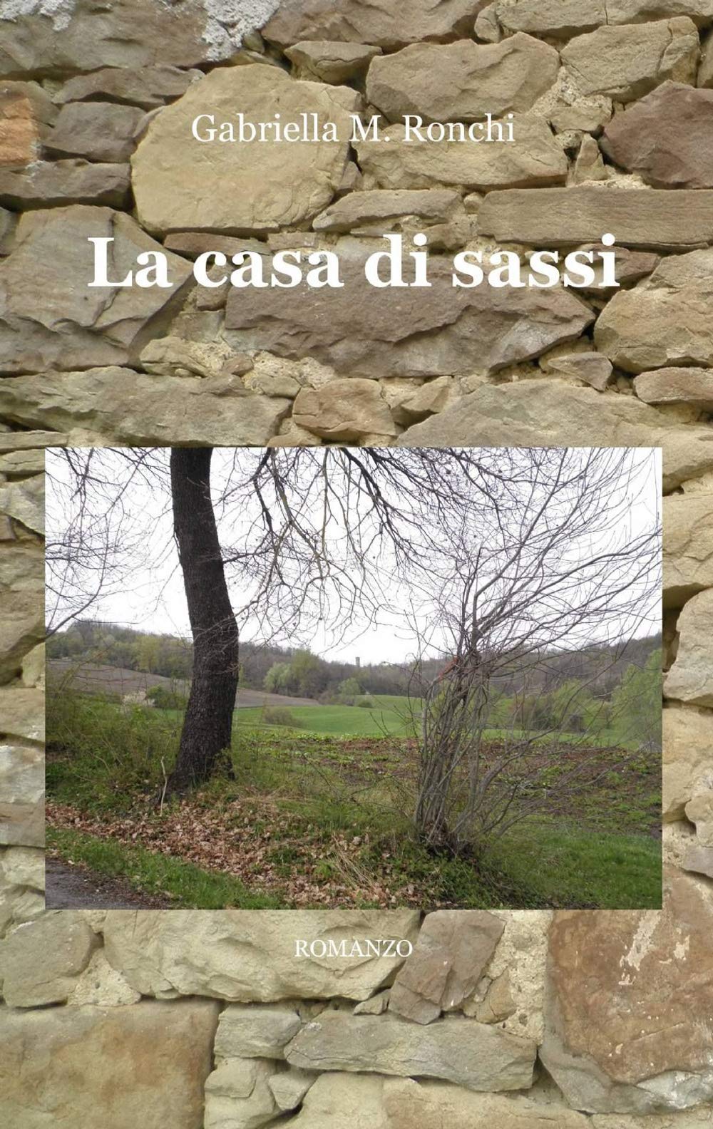 La casa di sassi (La community di ilmiolibro.it) Contemporary literature