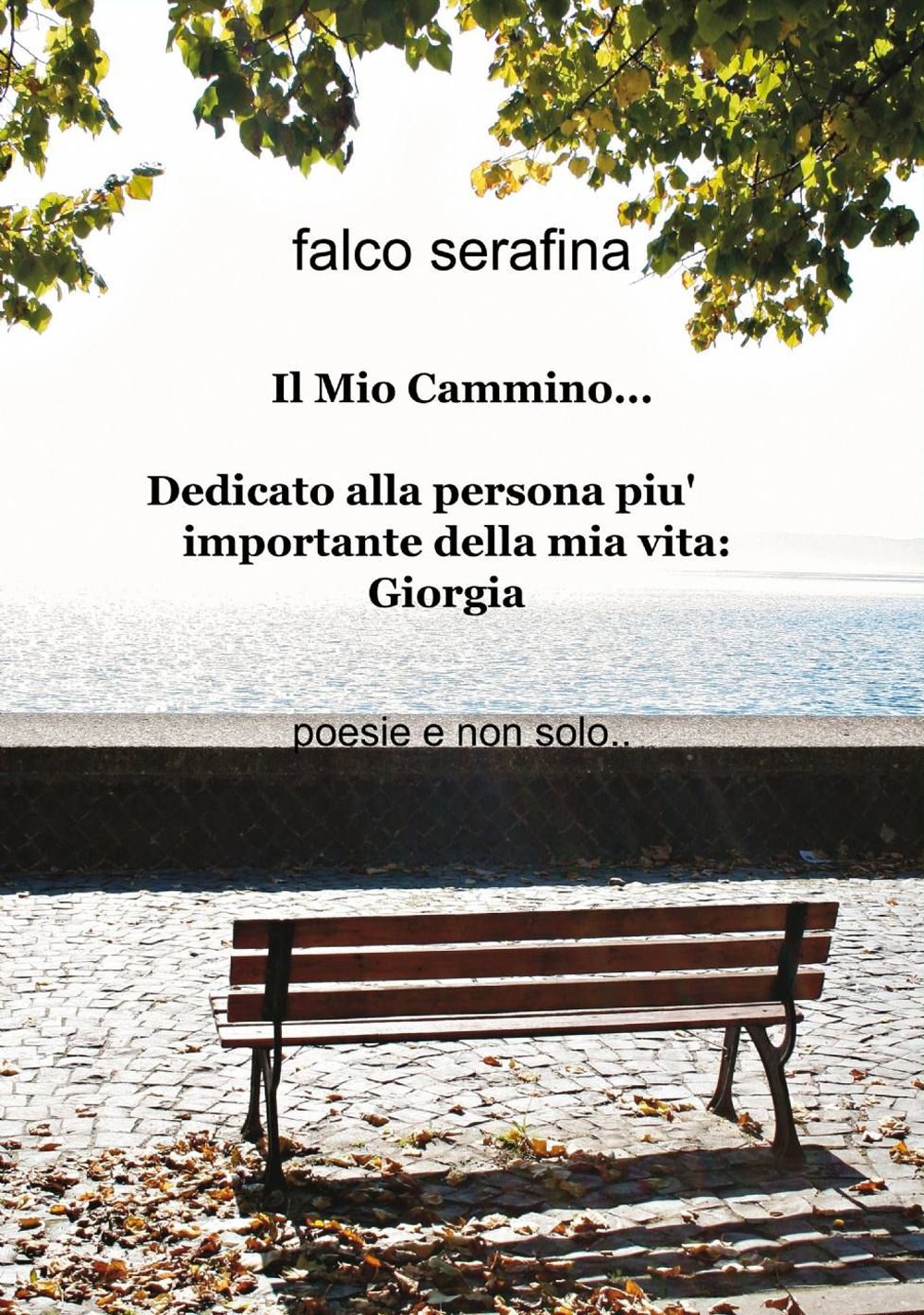 Il mio cammino... (La community di ilmiolibro.it) Poetry