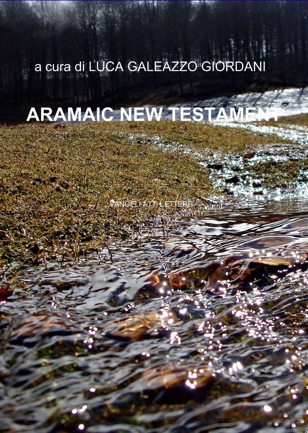 Nuovo testamento ebraico-francese (La community di ilmiolibro.it) Religion & Esotericism