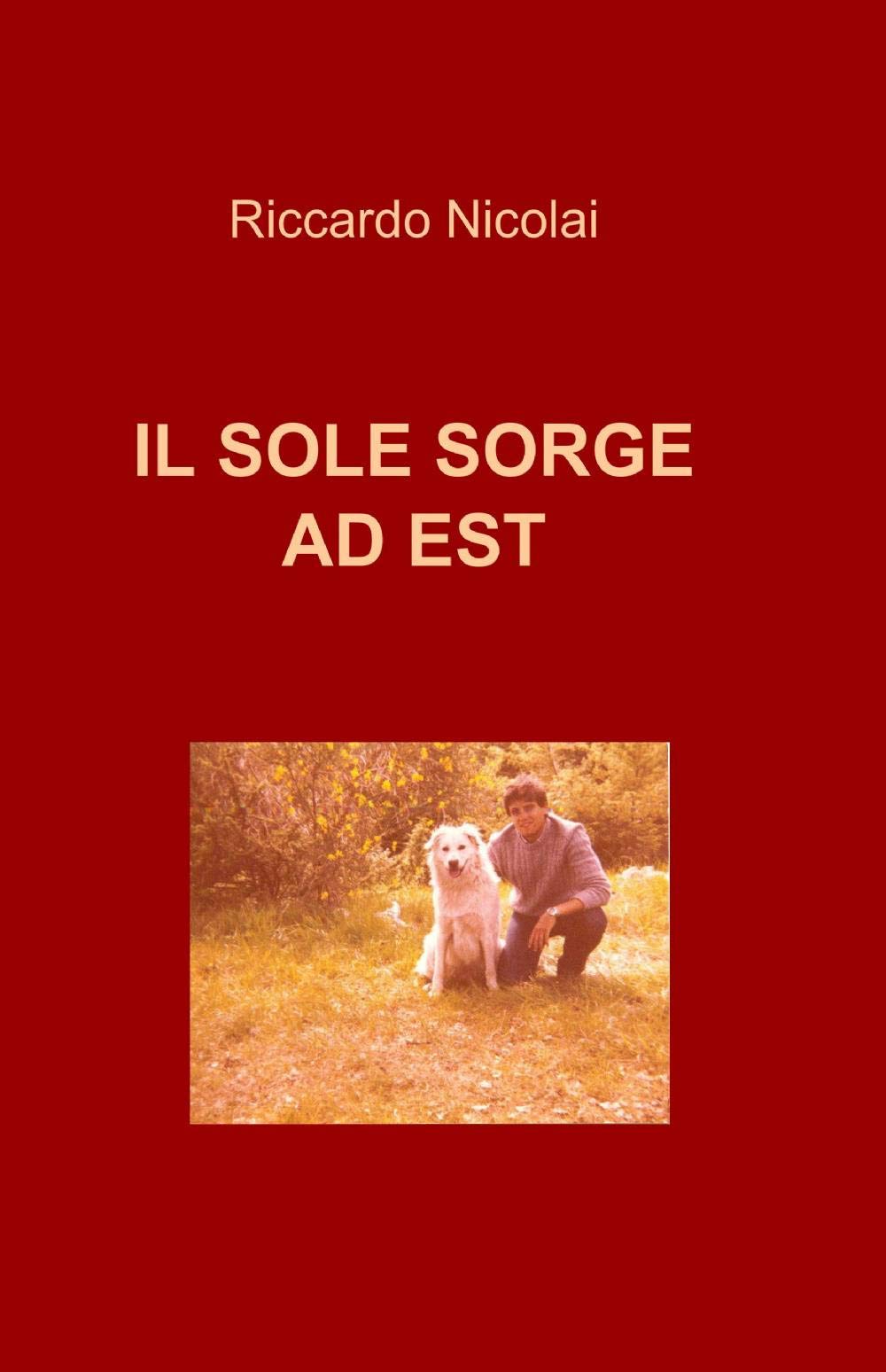 Il sole sorge ad est (La community di ilmiolibro.it) Contemporary literature