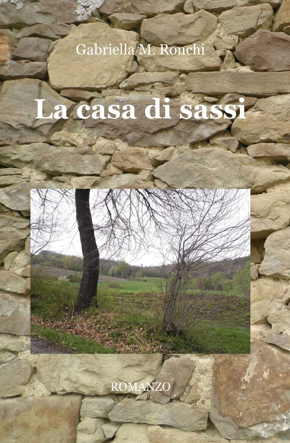 La casa di sassi (La community di ilmiolibro.it) Contemporary literature
