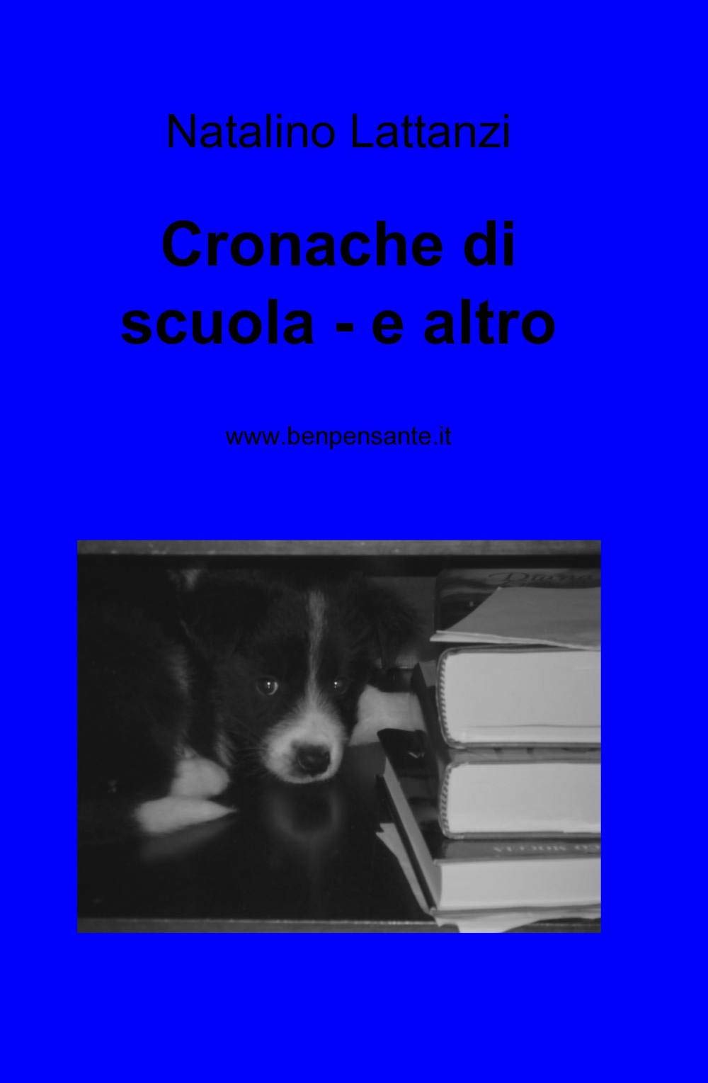 Cronache di scuola e altro (La community di ilmiolibro.it) Contemporary literature