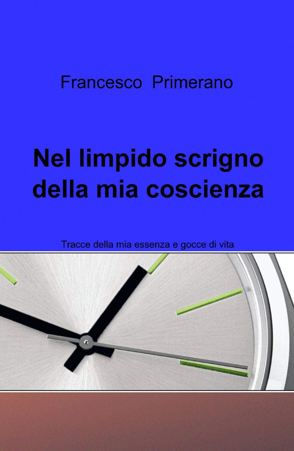 Nel limpido scrigno della mia coscienza (La community di ilmiolibro.it) Contemporary literature