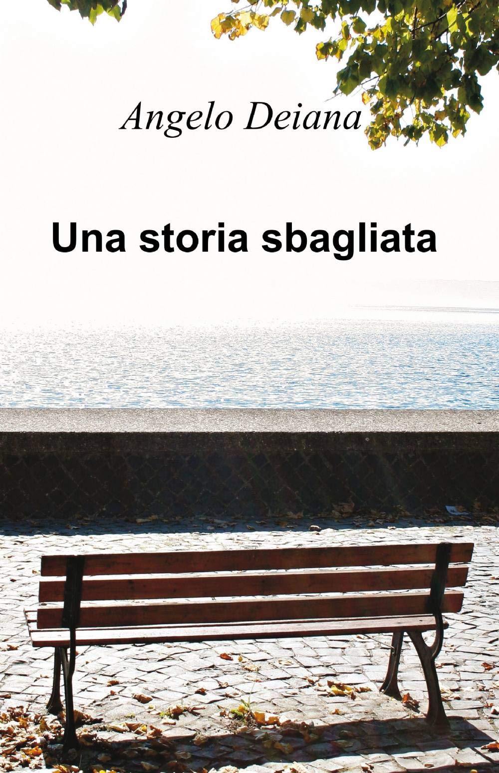 Una storia sbagliata (La community di ilmiolibro.it) Contemporary literature