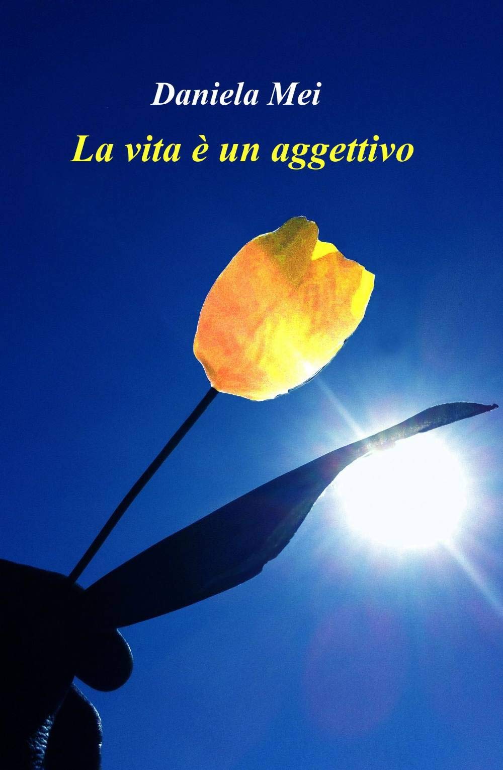 La vita é un aggettivo (La community di ilmiolibro.it) Contemporary literature