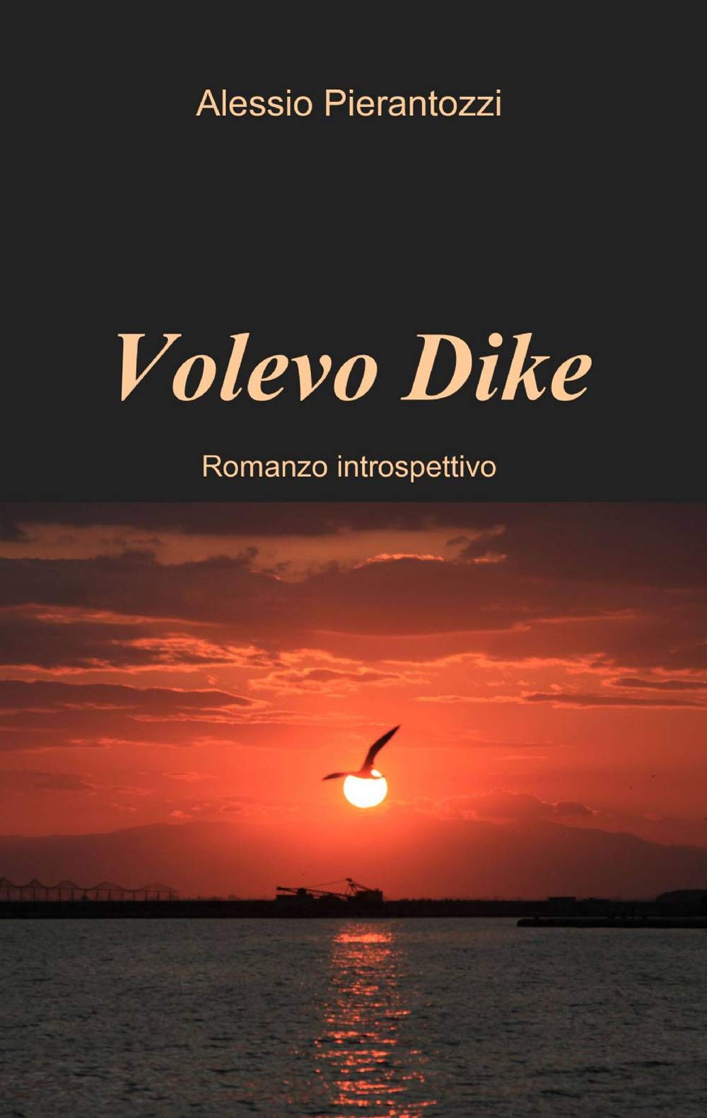 Volevo Dike (La community di ilmiolibro.it) Contemporary literature