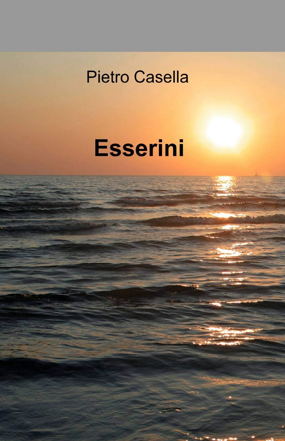 Esserini (La community di ilmiolibro.it) Contemporary literature