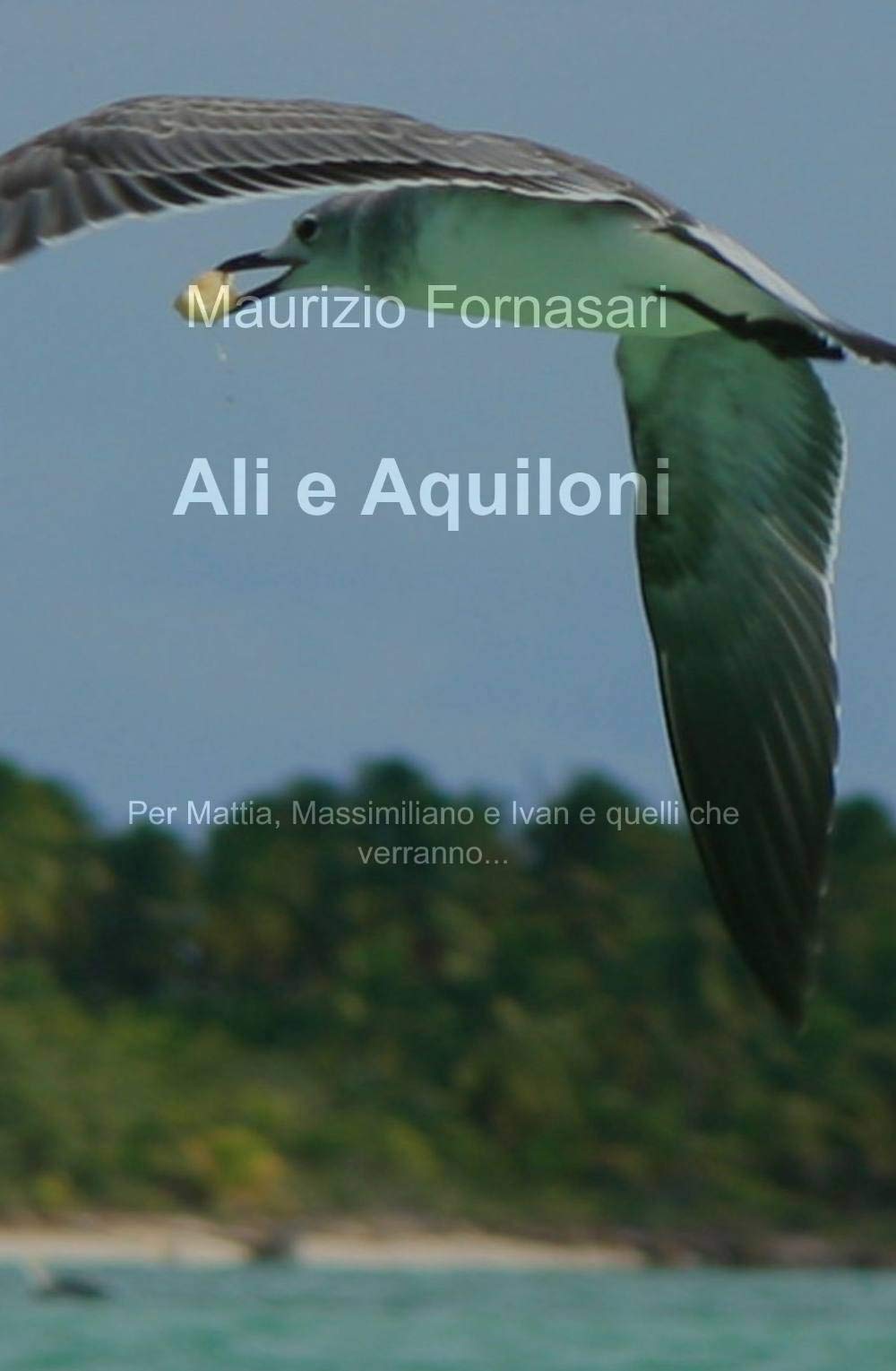 Ali e aquiloni (La community di ilmiolibro.it) Poetry