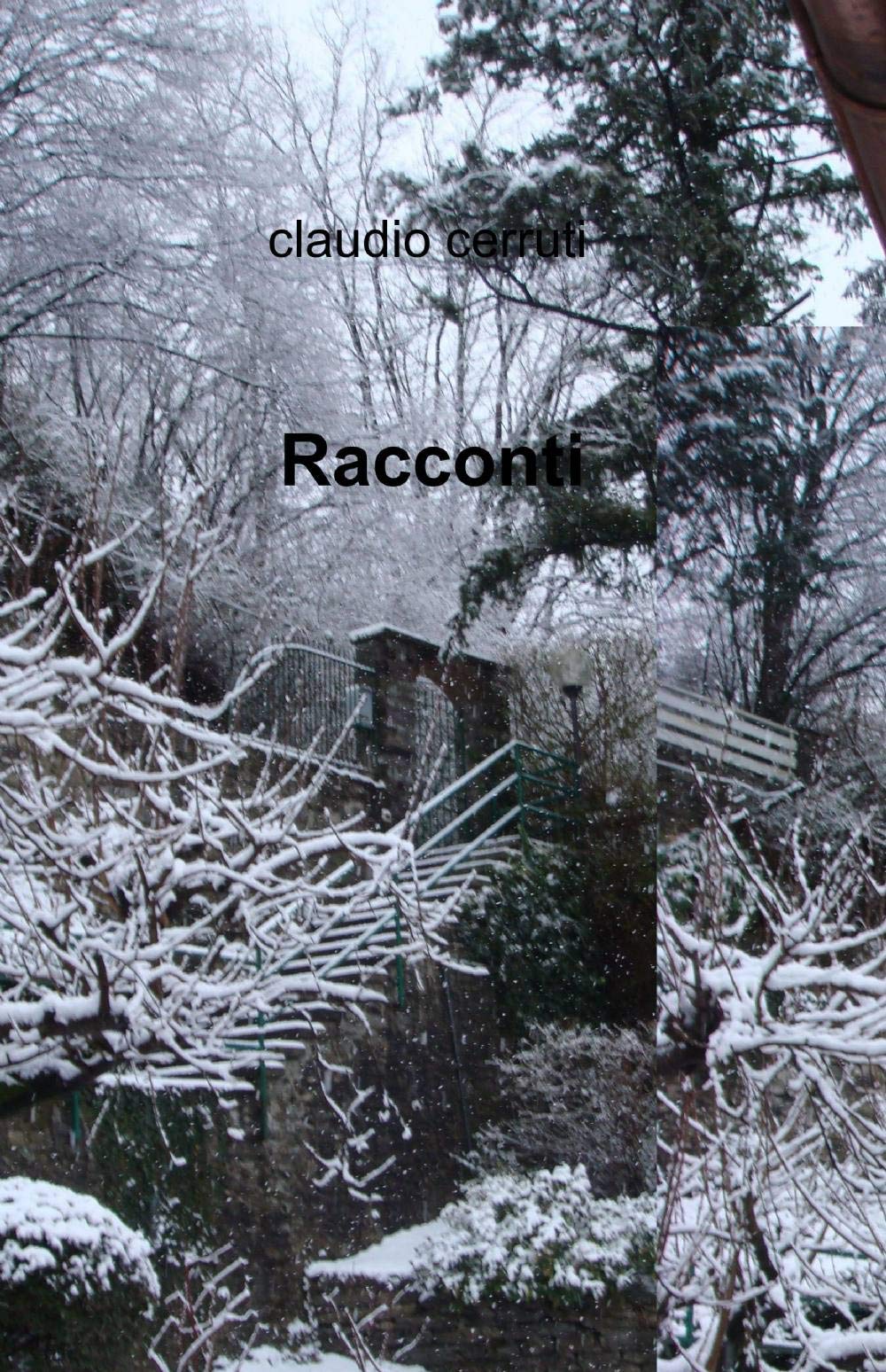 Racconti (La community di ilmiolibro.it) Contemporary literature
