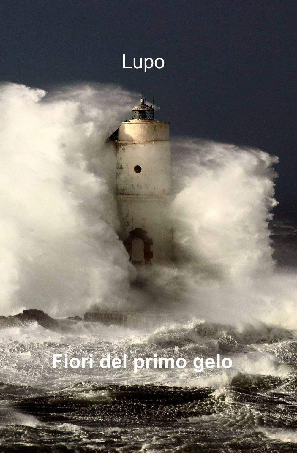 Fiori del primo gelo (La community di ilmiolibro.it) Poetry