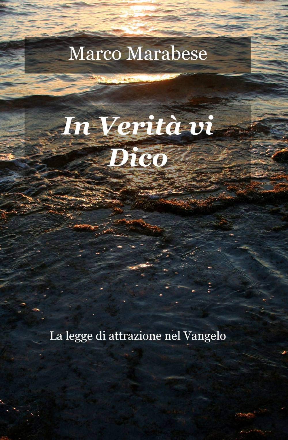 In Verità vi Dico (La community di ilmiolibro.it) Philosophy