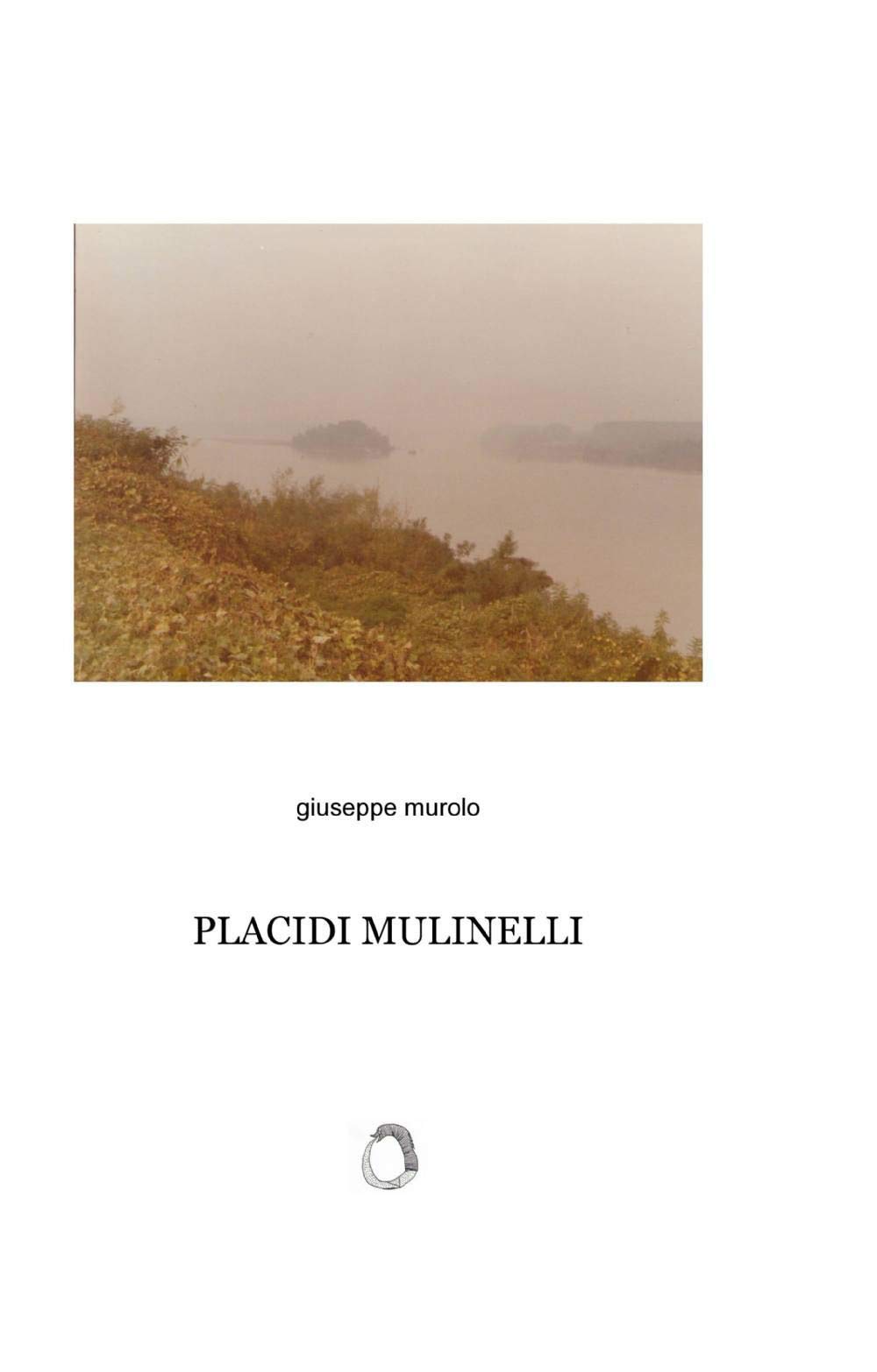 Placidi mulinelli (La community di ilmiolibro.it) Contemporary literature