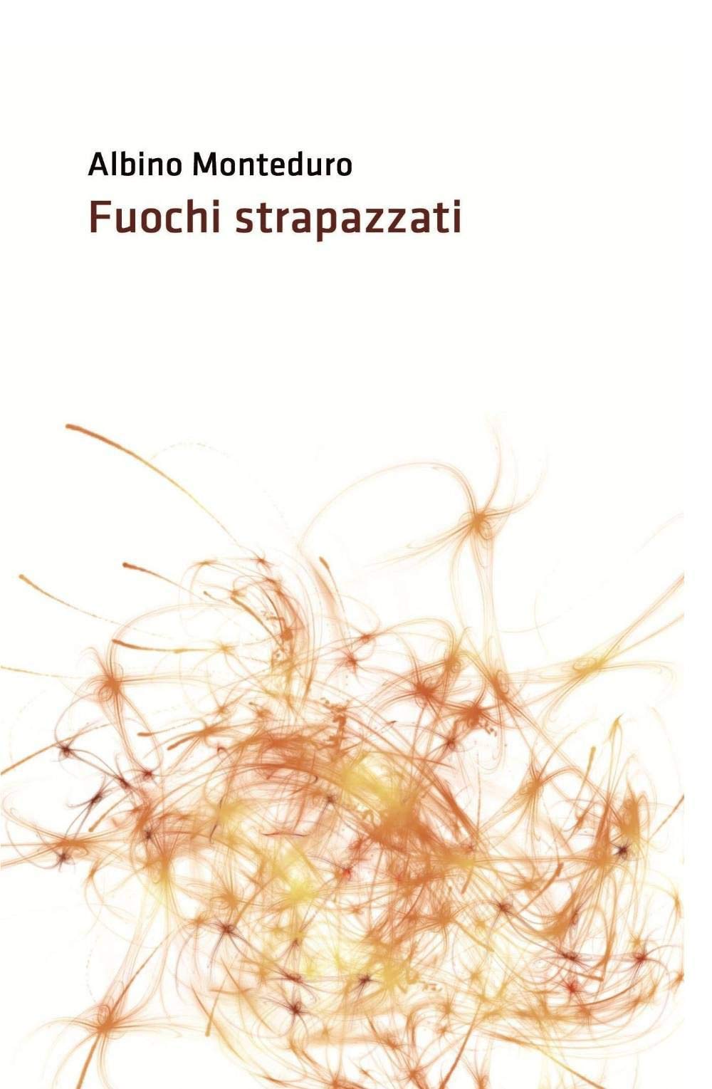 Fuochi strapazzati (La community di ilmiolibro.it) Contemporary literature
