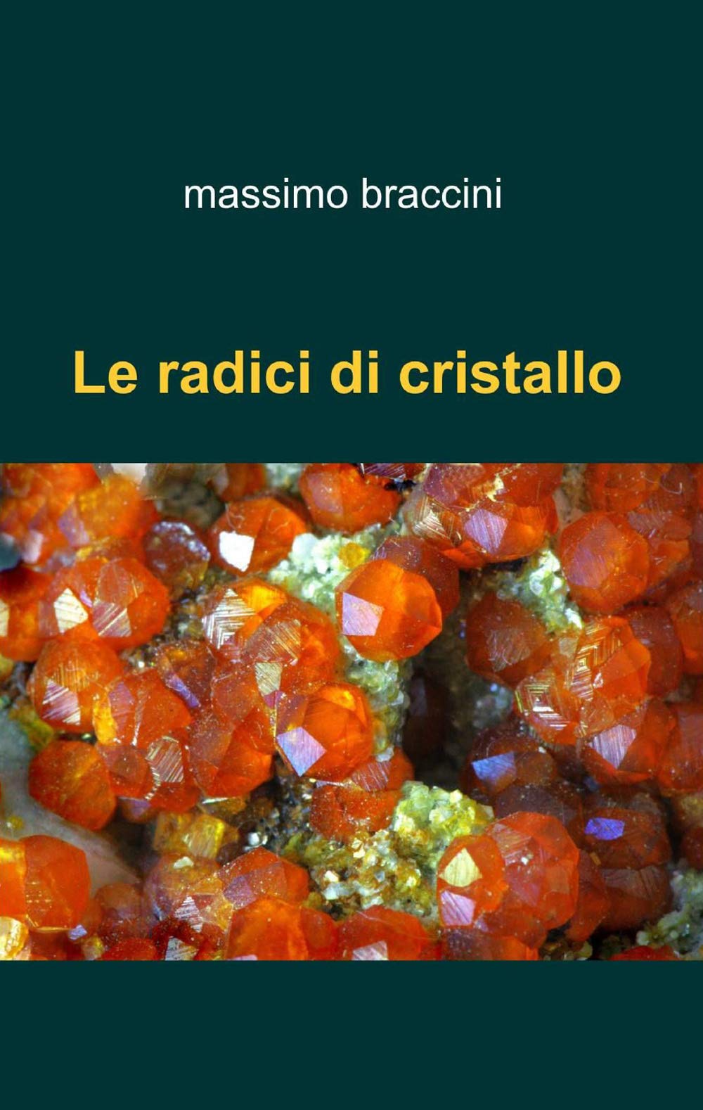 Le radici di cristallo (La community di ilmiolibro.it) Contemporary literature