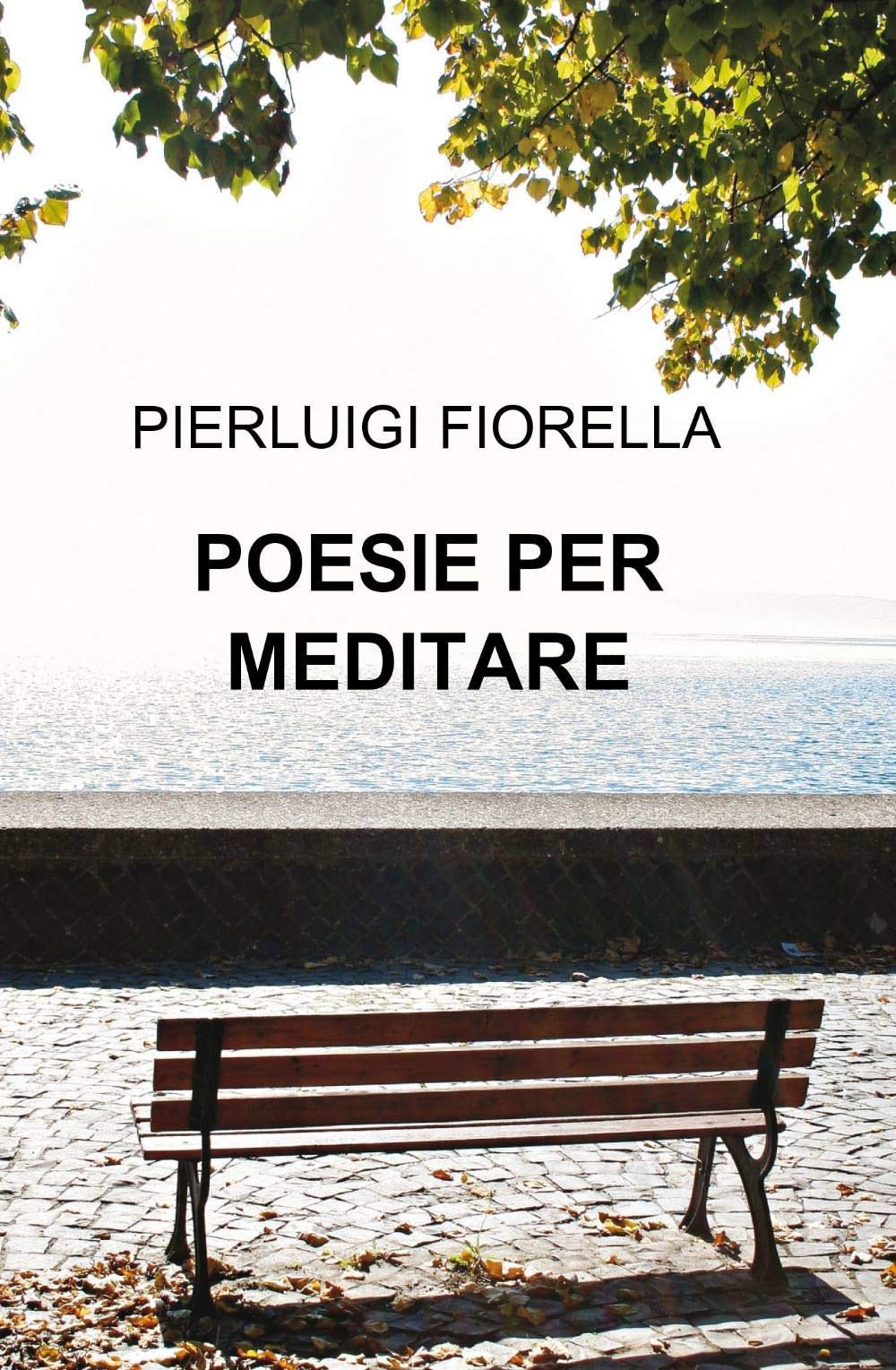 Poesie per meditare (La community di ilmiolibro.it) Poetry