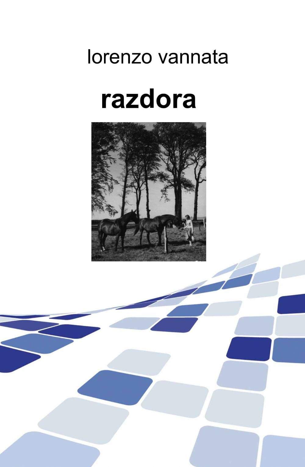 Razdora (La community di ilmiolibro.it) Contemporary literature