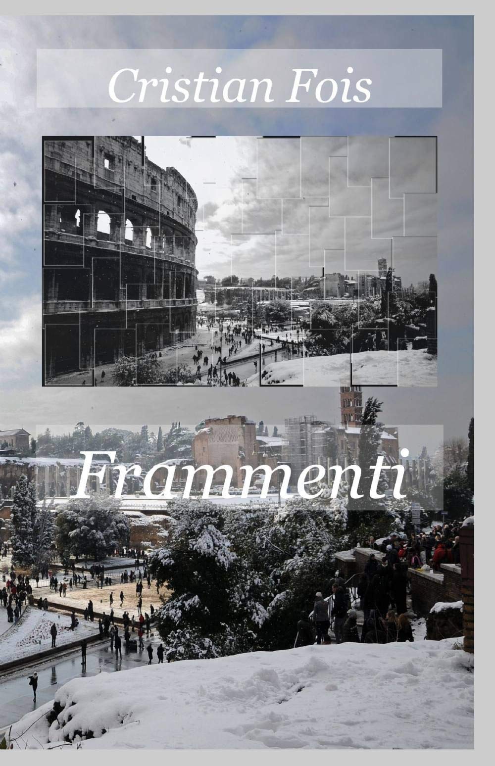 Frammenti (La community di ilmiolibro.it) Poetry
