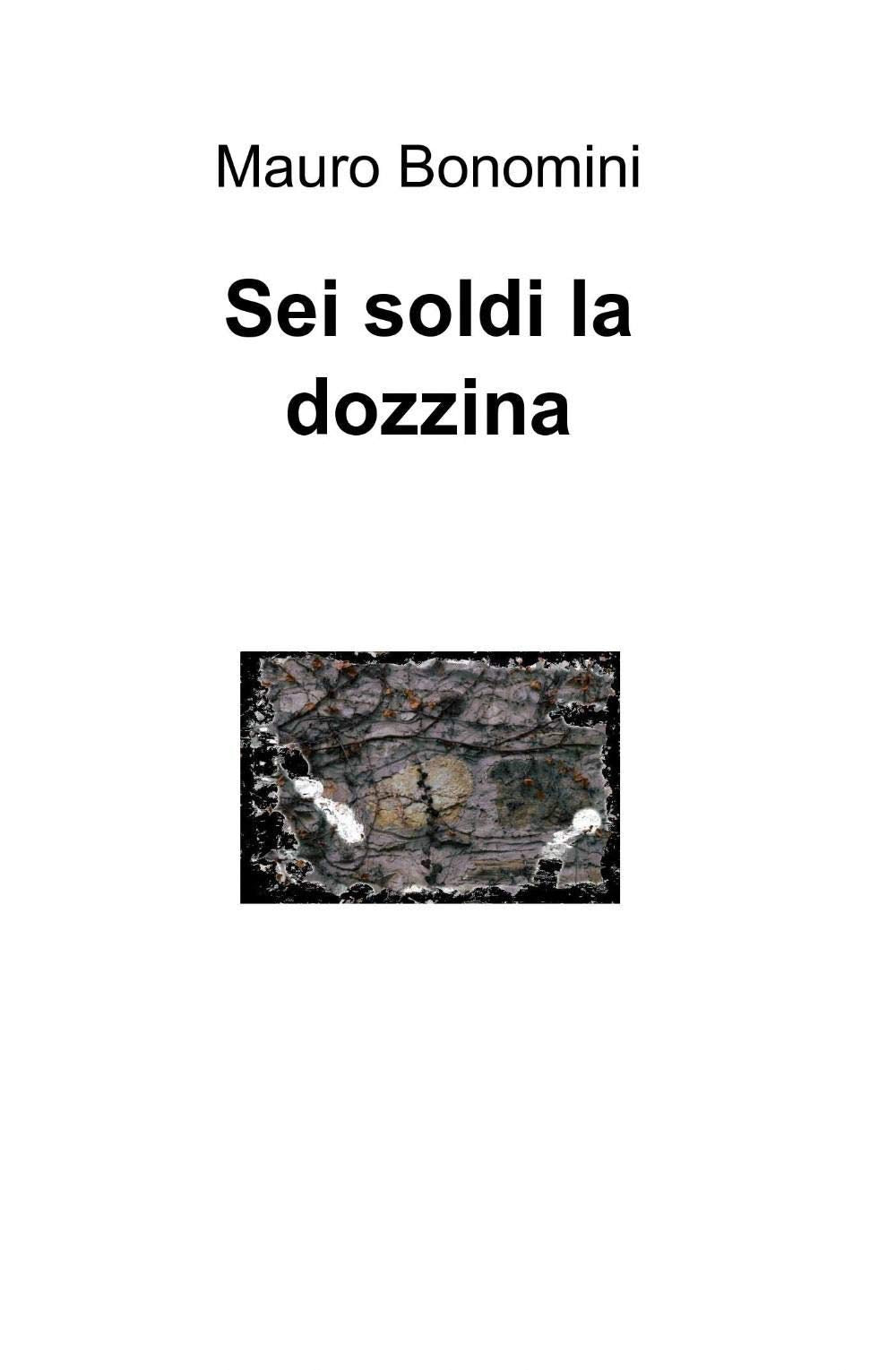 Sei soldi la dozzina (La community di ilmiolibro.it) Contemporary literature