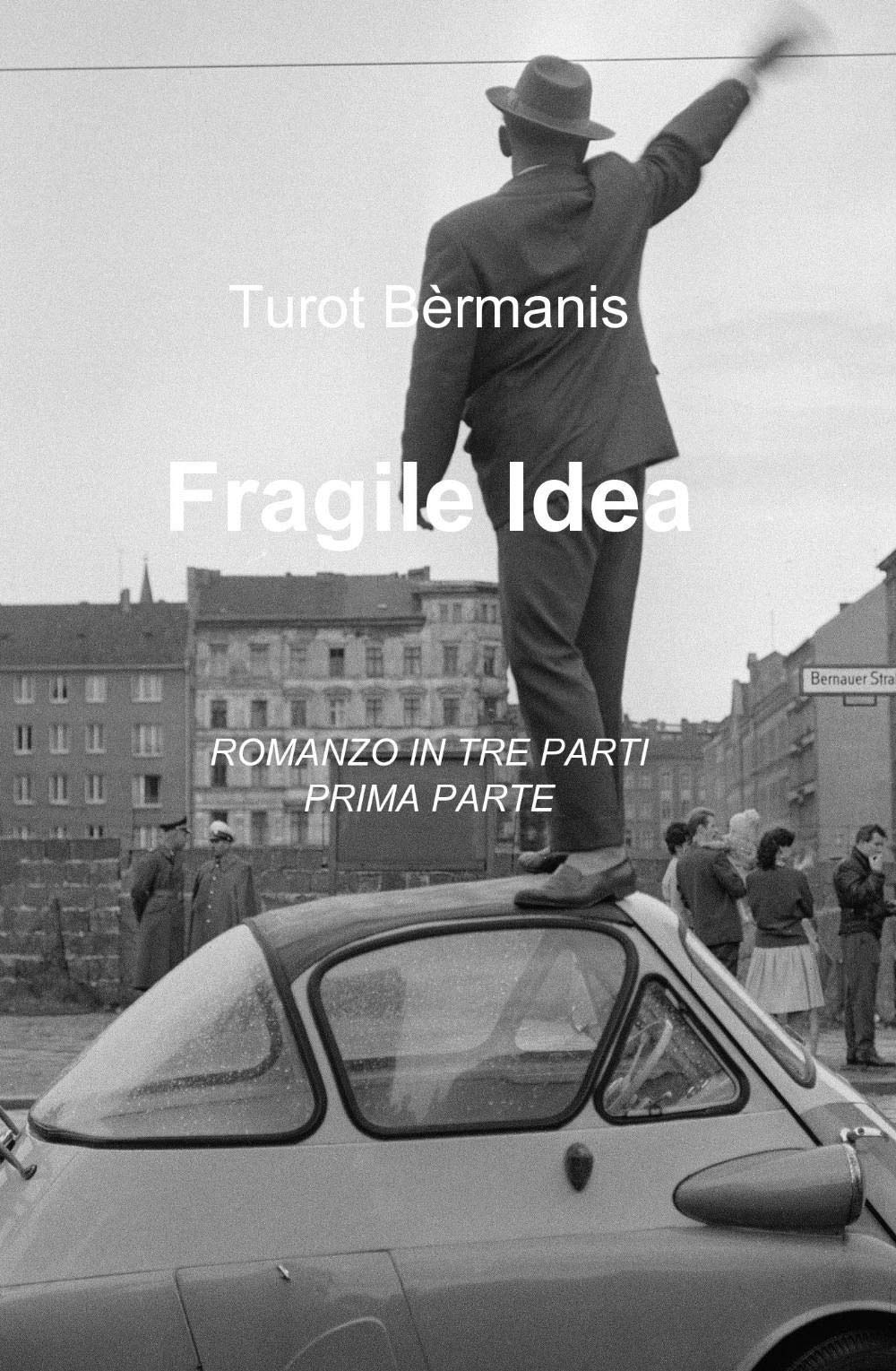 Fragile idea (La community di ilmiolibro.it) Contemporary literature