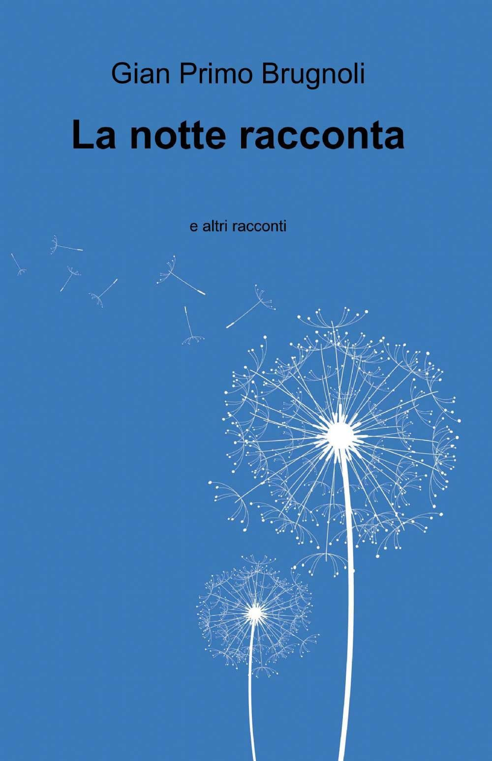 La notte racconta e altri racconti (La community di ilmiolibro.it) Contemporary literature