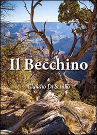 Product Image: Il becchino (Narrativa)