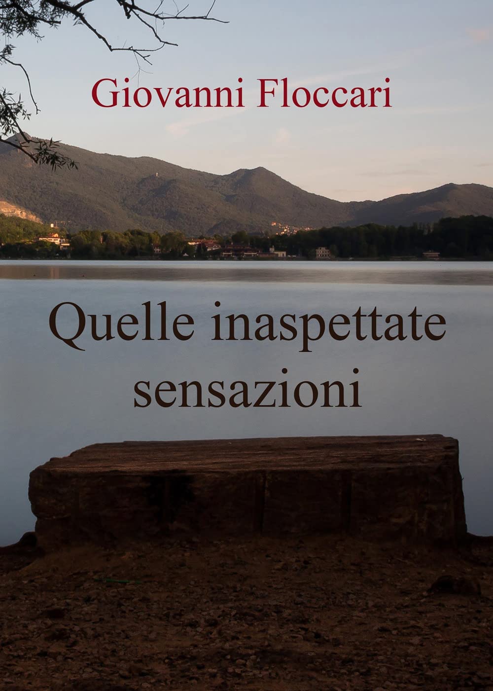 Quelle inaspettate sensazioni book