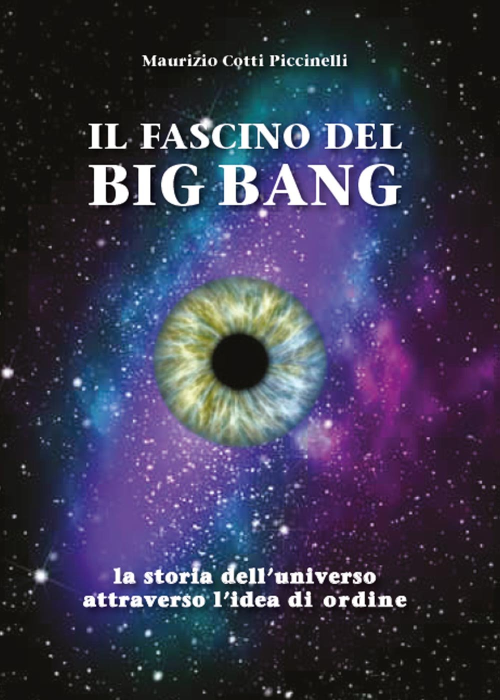 Il fascino del Big Bang. La storia dell'universo attraverso l'idea di ordine Natural Sciences