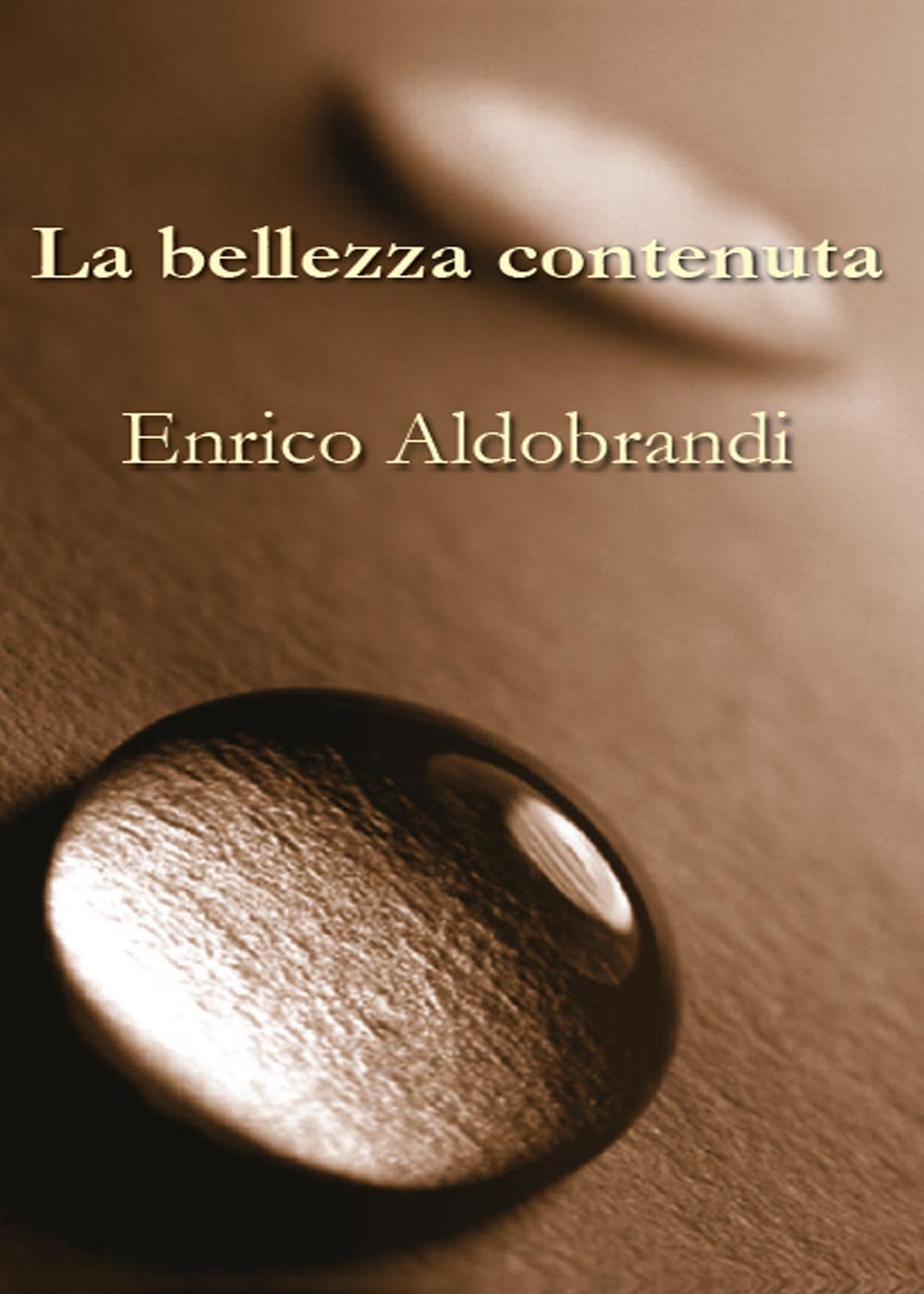 La bellezza contenuta book