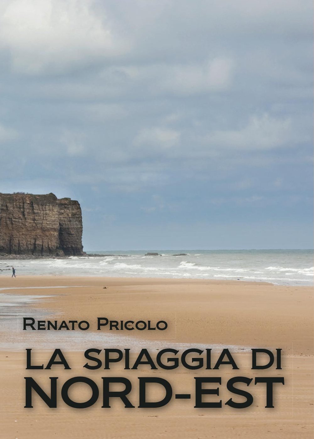 La spiaggia di Nord - Est book